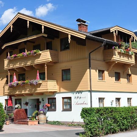 Haus Amadeus Hotel Wagrain Ngoại thất bức ảnh